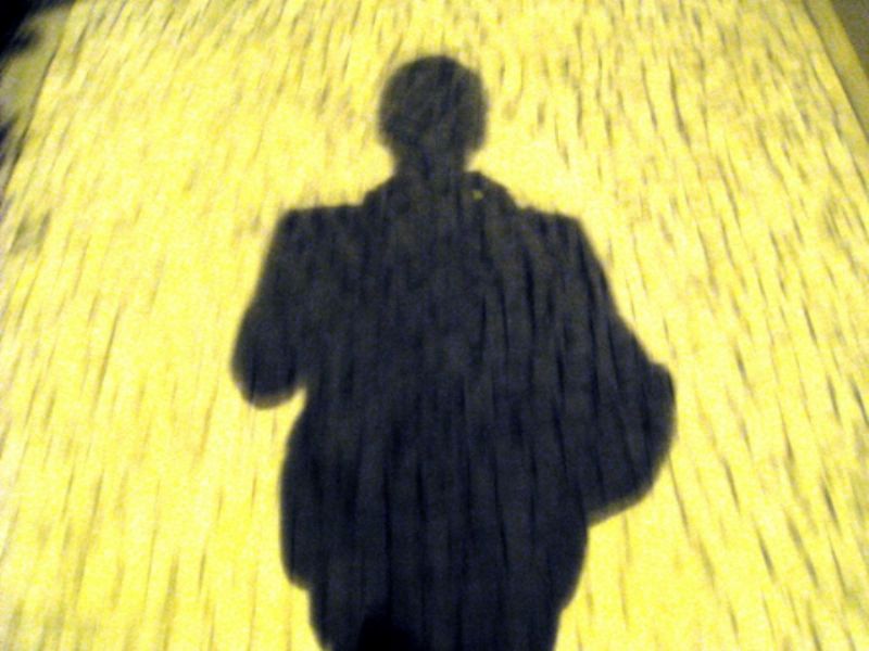 My shadow on a Golden Road