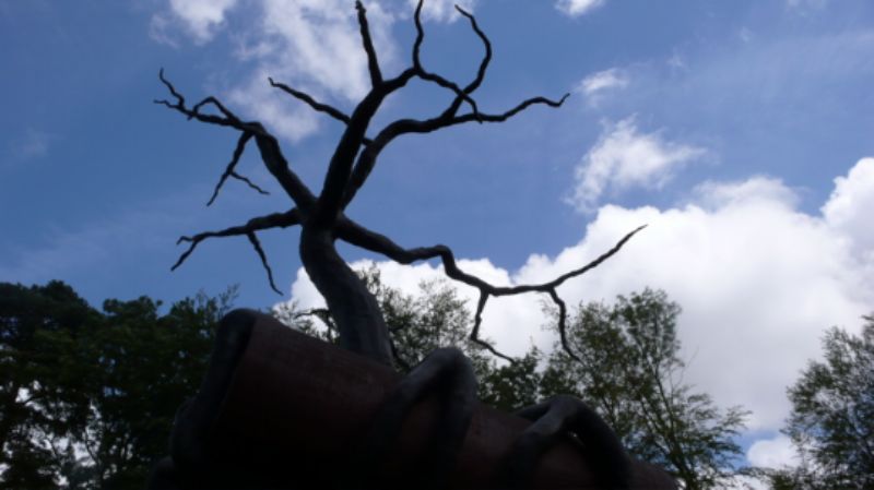 Tree atop Regardless of History by Bill Woodrow