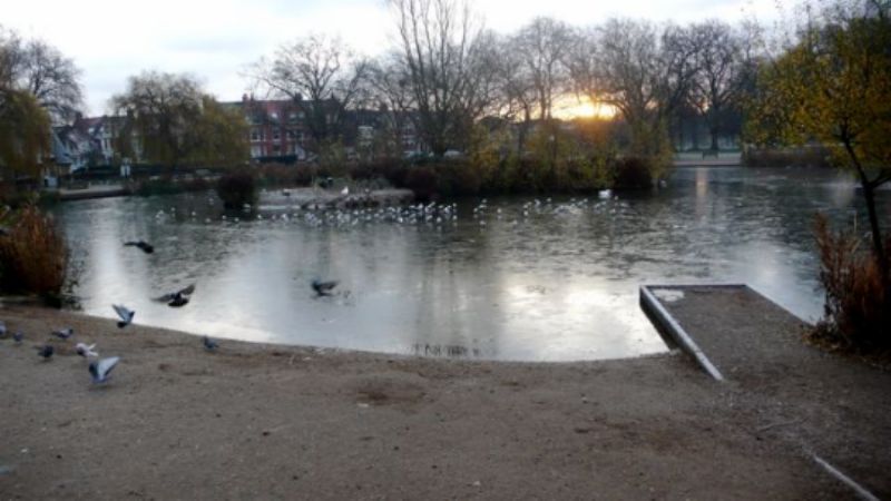Barnes Pond, sunrise
