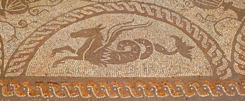 Seahorse mosaic