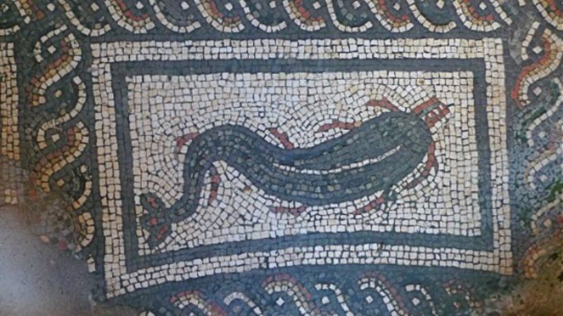 Dolphin mosaic