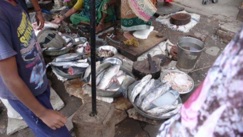 Fish market 1