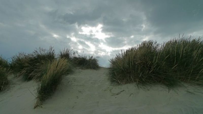Dunes, East Head