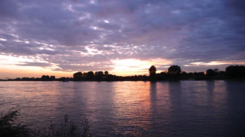 The Rhine when Celina and I walk down to the shore ahead of dinner