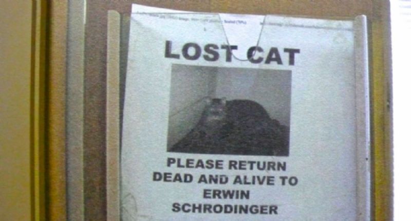 Schrodinger's Cat, dead or alive