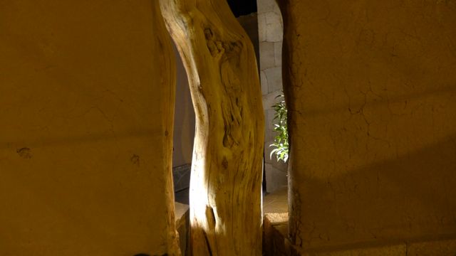 A tree trunk in a wall, in San Pedro de Atacama