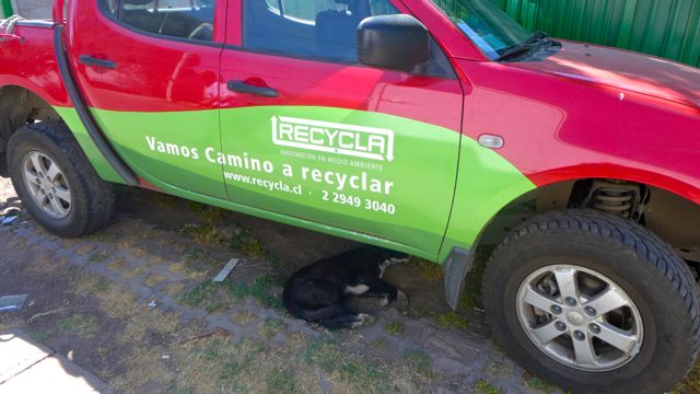 Truck outside the Recycla depot, letting sleeping dog lie