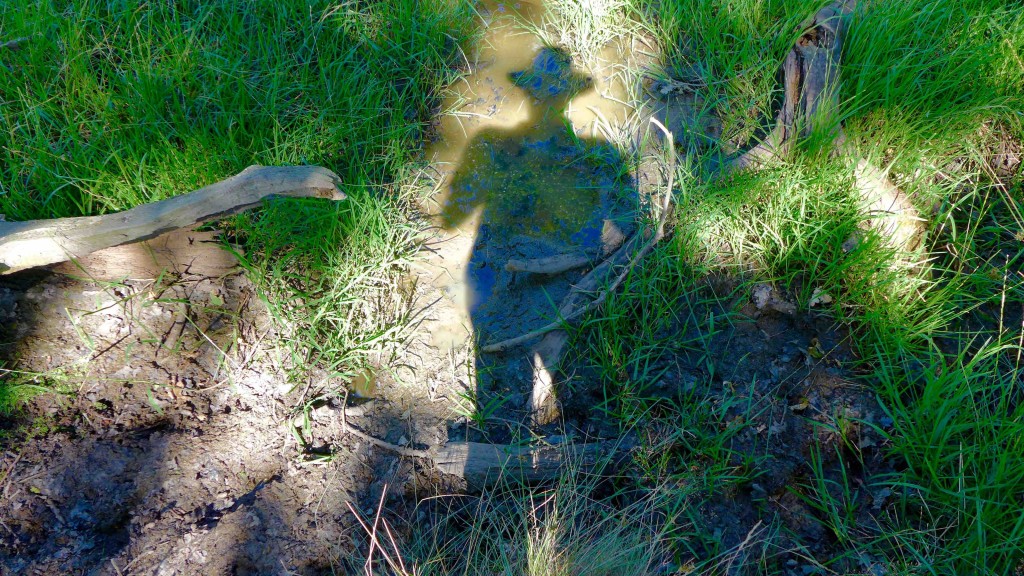 Shadowy selfie at dessicated Secret Pond