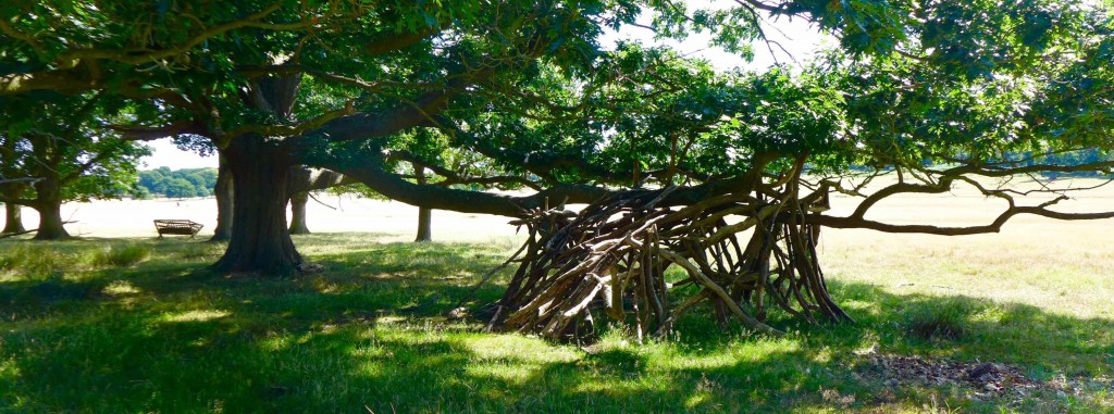 A sort of wickiup in Richmond Park