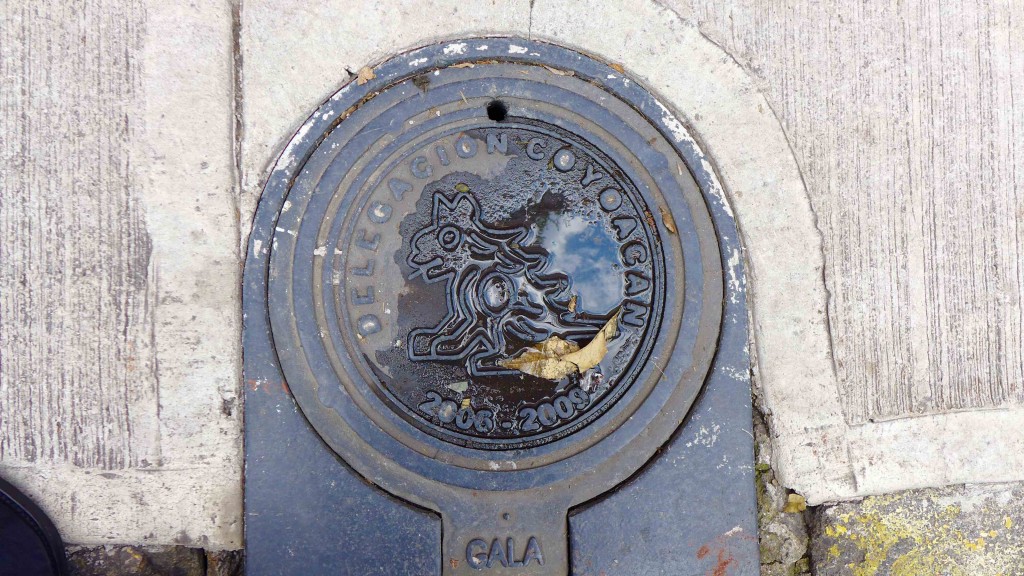 Coyoacan drain cover, showing coyote