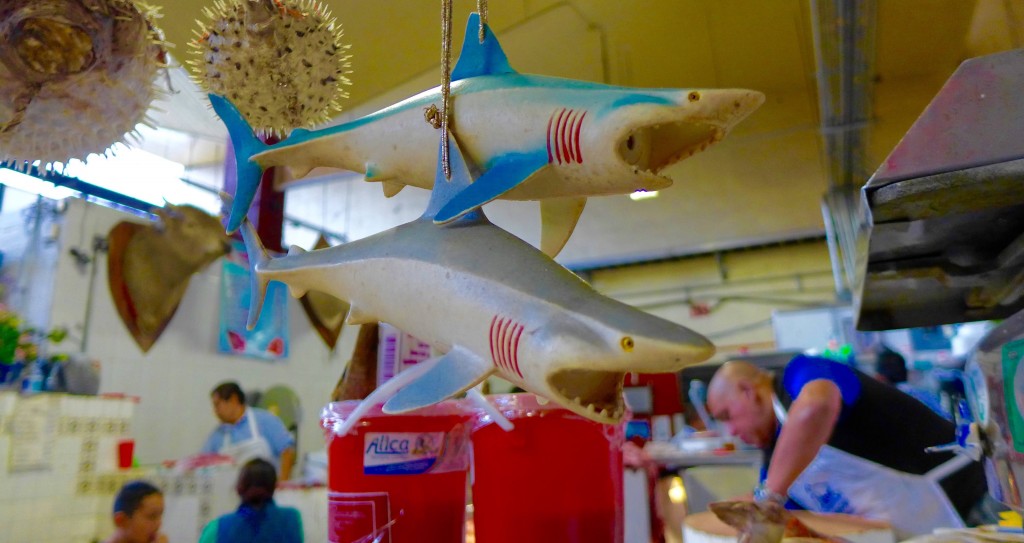 Sharks threaten fishmonger