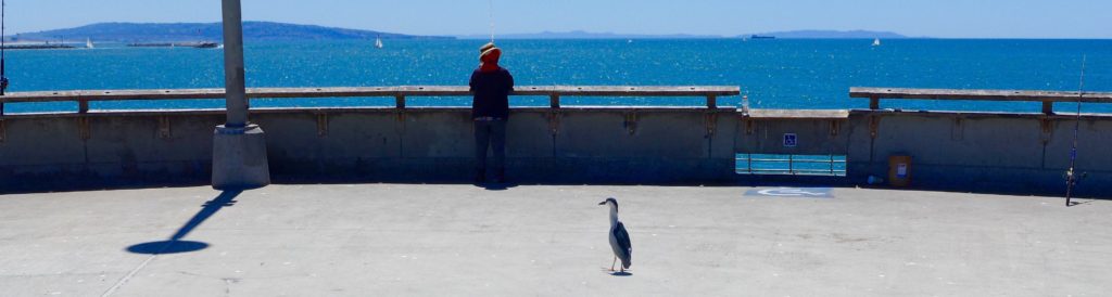 Heron waits expectantly for Asian woman to catch a fish on Venice Beach pier