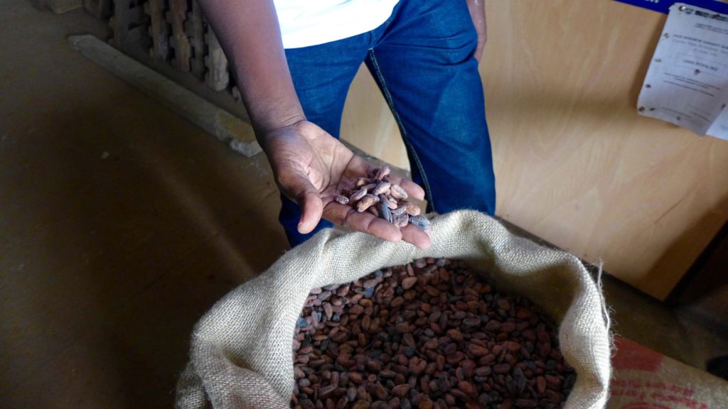 Sack of cocoa beans at a cooperative outside Yamoussoukro