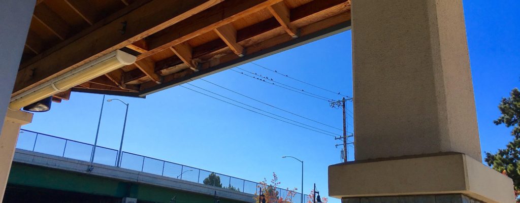 Birds on wires on Lawrence CalTrain station, headed north