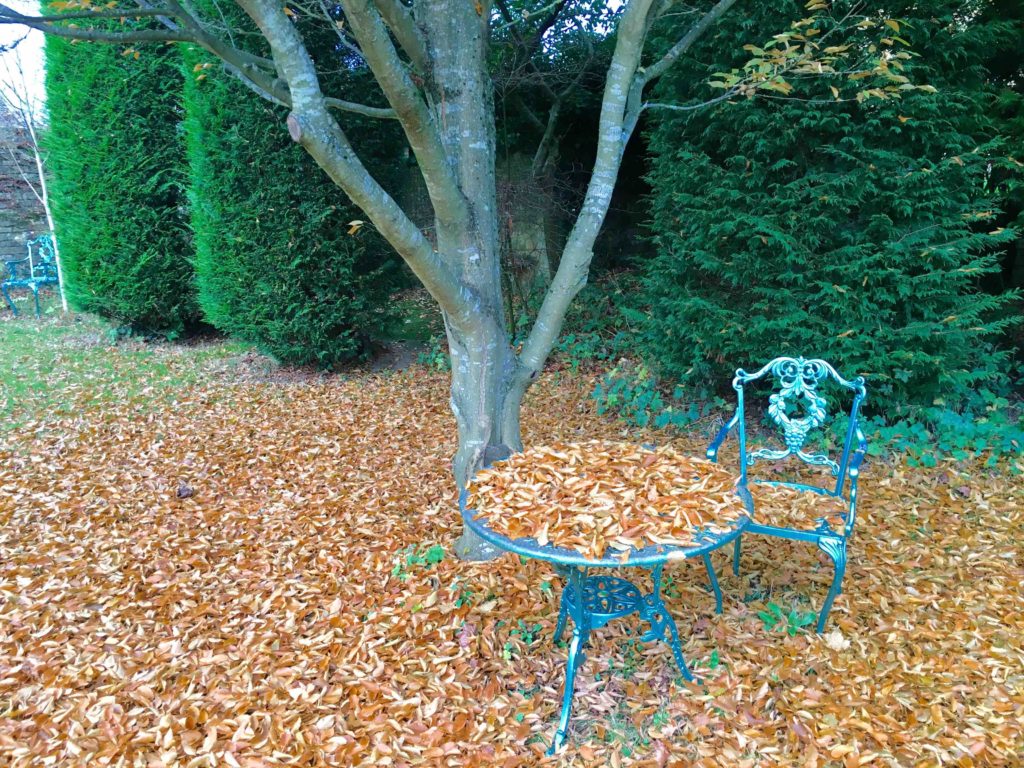 Autumnal table at Hill House