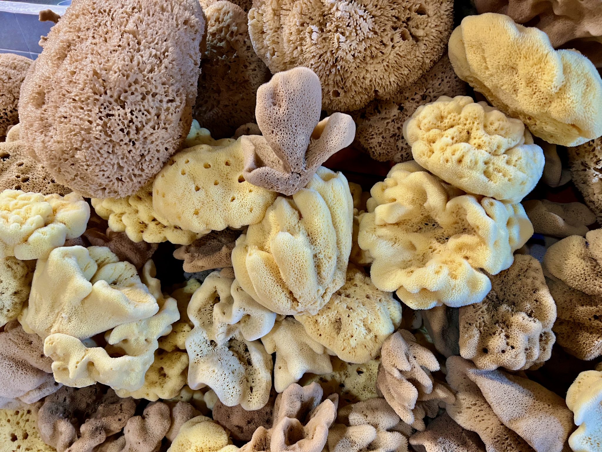 Our Lady Of Kalymnos